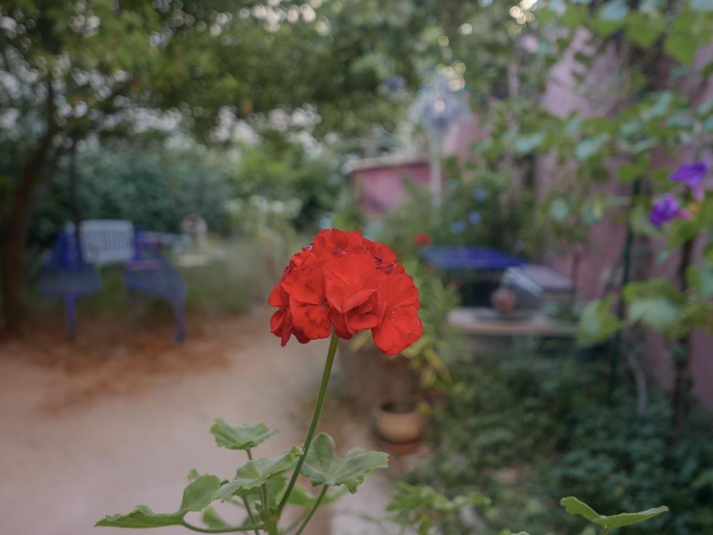 ホテル Vieux Port Panier Jardin マルセイユ エクステリア 写真