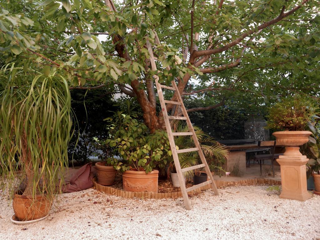 ホテル Vieux Port Panier Jardin マルセイユ エクステリア 写真