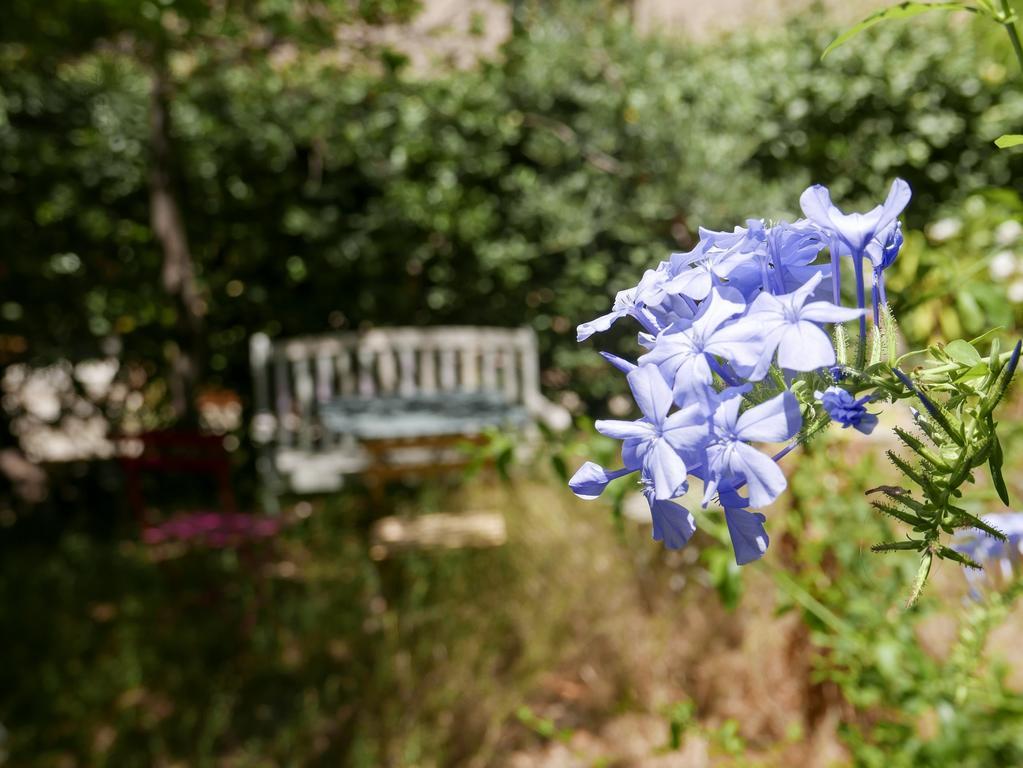 ホテル Vieux Port Panier Jardin マルセイユ エクステリア 写真