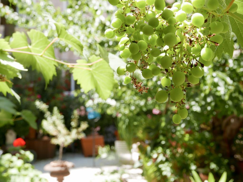 ホテル Vieux Port Panier Jardin マルセイユ エクステリア 写真